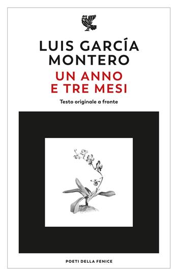 Un anno e tre mesi. Testo originale a fronte - Garcia Montero Luis - Libro Guanda 2023, Poeti della Fenice | Libraccio.it