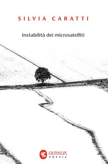 Instabilità dei microsatelliti - Silvia Caratti - Libro Guanda 2025, Guanda. Poesia | Libraccio.it