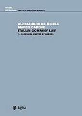 Italian company law