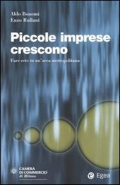 Piccole imprese crescono. Fare rete in un'area metropolitana