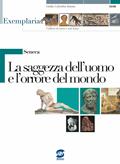 Seneca. La saggezza dell'uomo e l'orrore del mondo.  - Libro Simone per la Scuola 2006 | Libraccio.it