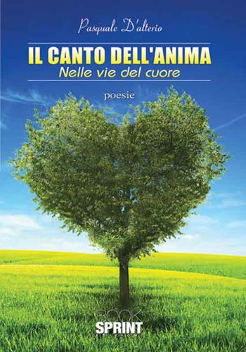 Il canto dell'anima. Nelle vie del cuore - Pasquale D'Alterio - Libro BooksprintEdizioni 2016 | Libraccio.it