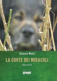 La corte dei miracoli - Antonio Monti - Libro Booksprint 2017 | Libraccio.it