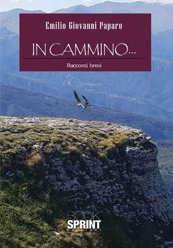 In cammino... - Emilio Giovanni Paparo - Libro BooksprintEdizioni 2017 | Libraccio.it