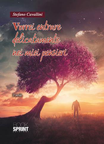 Vorrei entrare delicatamente nei miei pensieri - Stefano Cavallini - Libro BooksprintEdizioni 2017 | Libraccio.it