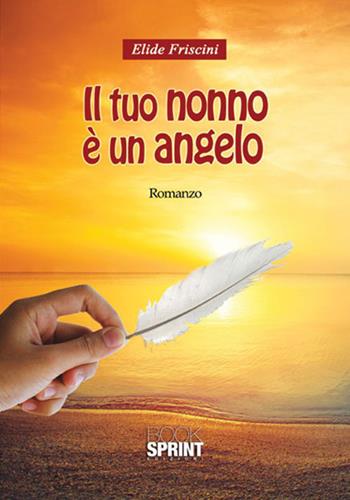 Il tuo nonno è un angelo - Elide Friscini - Libro BooksprintEdizioni 2017 | Libraccio.it