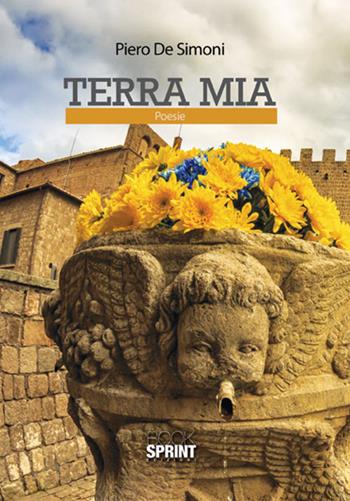 Terra mia - Piero De Simoni - Libro BooksprintEdizioni 2017 | Libraccio.it