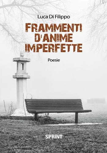 Frammenti d'anime imperfette - Luca Di Filippo - Libro BooksprintEdizioni 2017 | Libraccio.it
