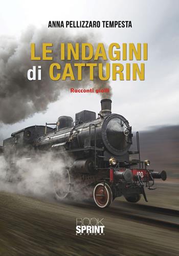 Le indagini di Catturin - Anna Pellizzaro Tempesta - Libro BooksprintEdizioni 2017 | Libraccio.it