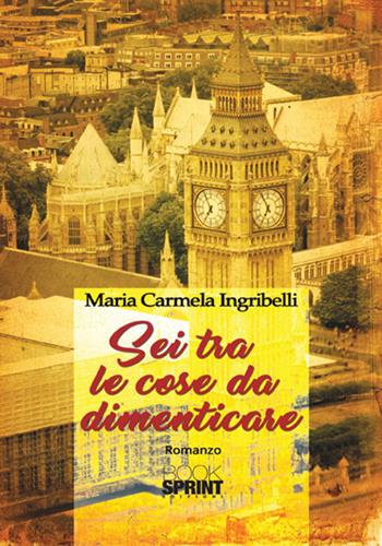 Sei tra le cose da dimenticare - Maria Carmela Ingribelli - Libro BooksprintEdizioni 2017 | Libraccio.it