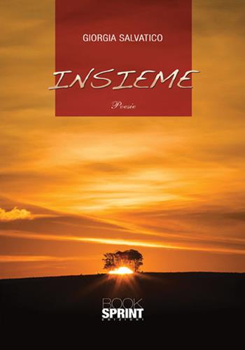 Insieme - Giorgia Salvatico - Libro Booksprint 2017 | Libraccio.it