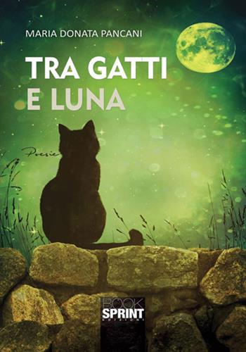 Tra gatti e luna - Maria Donata Pancani - Libro BooksprintEdizioni 2017 | Libraccio.it