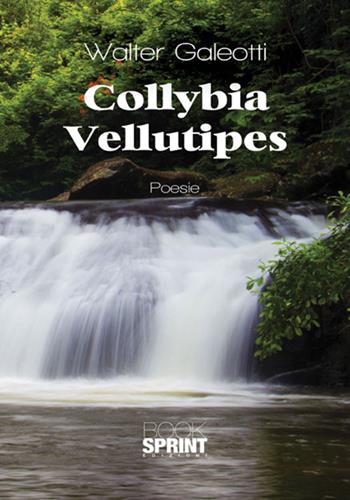 Collybia Vellutipes - Walter Galeotti - Libro Booksprint 2017 | Libraccio.it