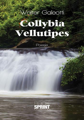 Collybia Vellutipes - Walter Galeotti - Libro BooksprintEdizioni 2017 | Libraccio.it