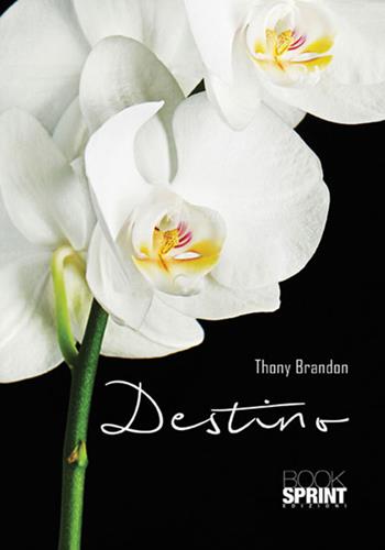 Destino - Thony Brandon - Libro BooksprintEdizioni 2017 | Libraccio.it