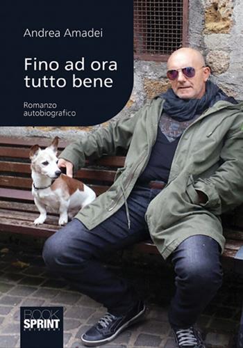 Fino ad ora tutto bene - Andrea Amadei - Libro BooksprintEdizioni 2018 | Libraccio.it