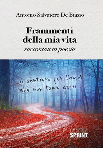 Frammenti della mia vita - Antonio Salvatore De Biasio - Libro Booksprint 2018 | Libraccio.it