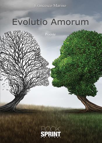 Evolutio amorum - Francesco Marino - Libro Booksprint 2019 | Libraccio.it