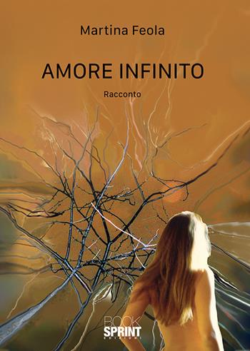 Amore infinito - Martina Feola - Libro BooksprintEdizioni 2019 | Libraccio.it