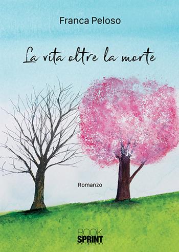 La vita oltre la morte - Franca Peloso - Libro BooksprintEdizioni 2019 | Libraccio.it