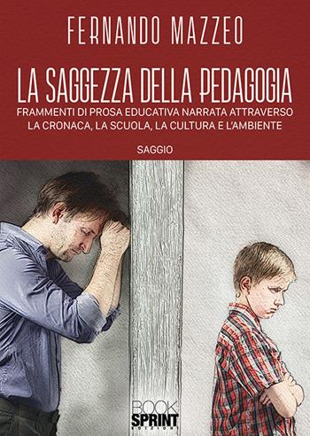 La saggezza della pedagogia. Frammenti di prosa educativa narrata attraverso la cronaca, la scuola, la cultura e l'ambiente - Fernando Mazzeo - Libro Booksprint 2019 | Libraccio.it