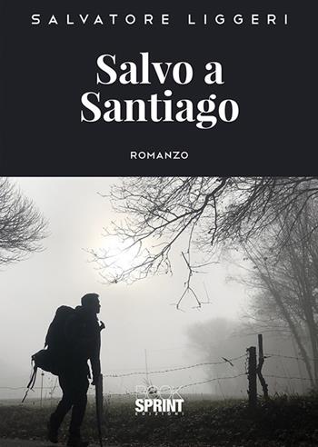 Salvo a Santiago - Salvatore Liggeri - Libro BooksprintEdizioni 2019 | Libraccio.it