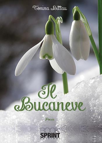 Il bucaneve - Tonina Bittau - Libro BooksprintEdizioni 2019 | Libraccio.it