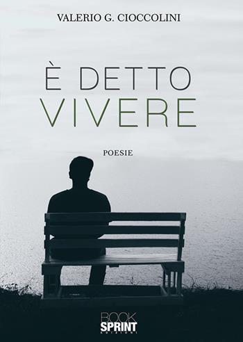 È detto vivere - Valerio G. Cioccolini - Libro BooksprintEdizioni 2019 | Libraccio.it
