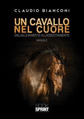 Un cavallo nel cuore. Dall'allevamento all'addestramento