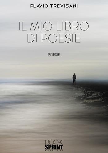 Il mio libro di poesie - Flavio Trevisani - Libro BooksprintEdizioni 2020 | Libraccio.it