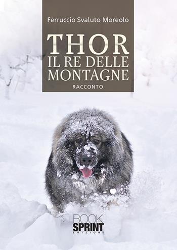 Thor il re delle montagne - Ferruccio Svaluto Moreolo - Libro Booksprint 2020 | Libraccio.it
