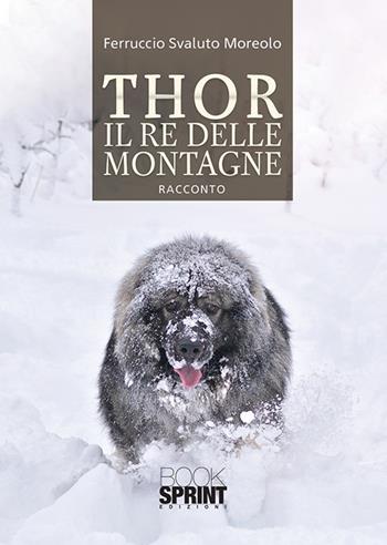 Thor il re delle montagne - Ferruccio Svaluto Moreolo - Libro BooksprintEdizioni 2020 | Libraccio.it