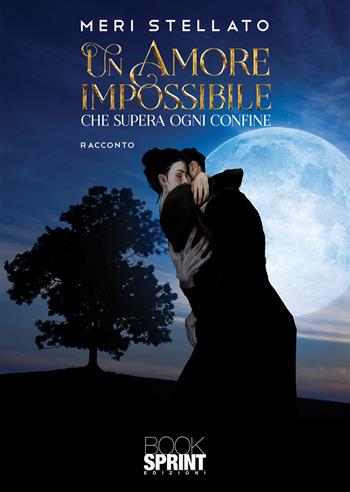 Un amore impossibile che supera ogni confine - Meri Stellato - Libro BooksprintEdizioni 2020 | Libraccio.it