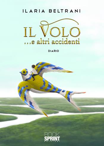 Il volo… e altri accidenti - Ilaria Beltrani - Libro BooksprintEdizioni 2020 | Libraccio.it