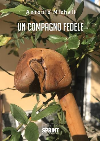 Un compagno fedele - Antonio Micheli - Libro BooksprintEdizioni 2021 | Libraccio.it