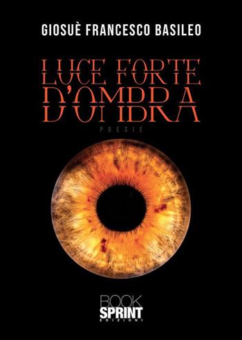 Luce forte d'ombra - Giosuè Francesco Basileo - Libro BooksprintEdizioni 2022 | Libraccio.it