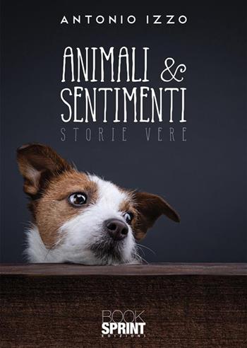Animali & sentimenti - Antonio Izzo - Libro BooksprintEdizioni 2022 | Libraccio.it