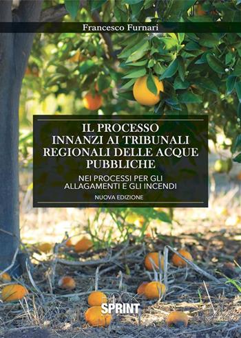 Il processo innanzi ai tribunali delle acque pubbliche per il risarcimento dei danni causati dagli allagamenti e dagli incendi - Francesco Furnari - Libro BooksprintEdizioni 2023 | Libraccio.it