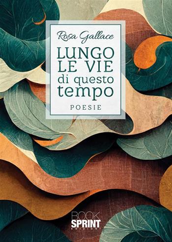 Lungo le vie di questo tempo - Rosa Gallace - Libro BooksprintEdizioni 2023 | Libraccio.it
