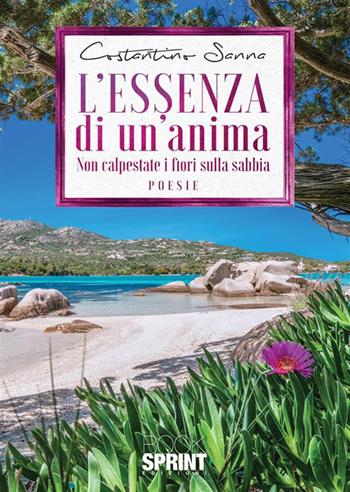 L essenza di un’anima - Costantino Sanna - Libro Booksprint 2023 | Libraccio.it