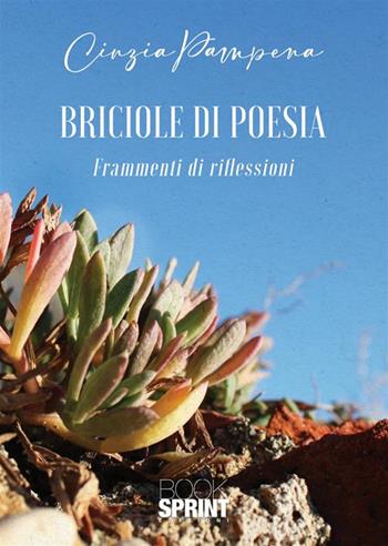 Briciole di poesia - Cinzia Pampena - Libro BooksprintEdizioni 2023 | Libraccio.it