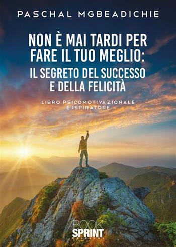 Non è mai tardi per fare il tuo meglio - Paschal Mgbeadichie - Libro BooksprintEdizioni 2023 | Libraccio.it