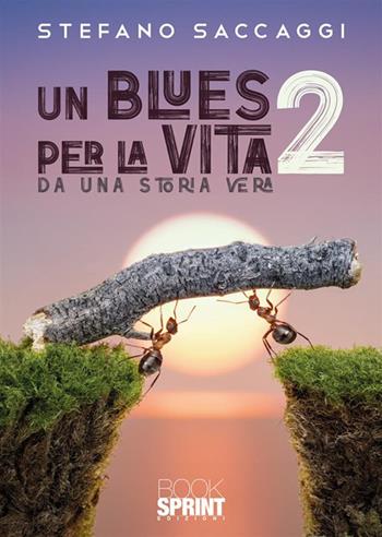 Un blues per la vita. Da una storia vera. Vol. 2 - Stefano Saccaggi - Libro Booksprint 2024 | Libraccio.it