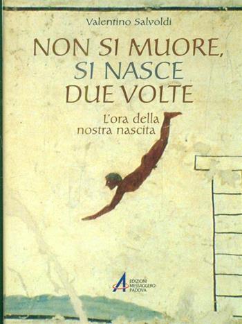 Non si muore, si nasce due volte. L'ora della nostra nascita - Valentino Salvoldi - Libro EMP - Edizioni Messaggero Padova 2003, Il pozzo di Giacobbe. Nuova serie | Libraccio.it