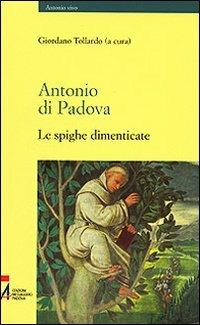 Antonio di Padova. Le spighe dimenticate - Giordano Tollardo - Libro EMP 2008, Antonio vivo | Libraccio.it