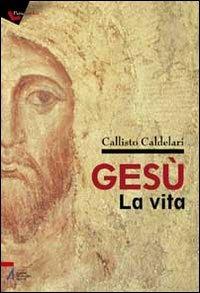 Gesù: la vita. Biografia e pagine evangeliche per dubbiosi e non credenti - Callisto Caldelari - Libro EMP - Edizioni Messaggero Padova 2010, Pietre angolari | Libraccio.it