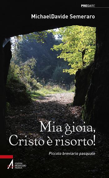 Mia gioia, Cristo è risorto! Meditazioni quotidiane da Pasqua a Pentecoste. Ediz. plastificata - MichaelDavide Semeraro - Libro EMP 2022, Pregare | Libraccio.it