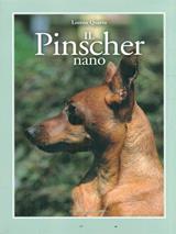 Il pinscher nano - Lorena Quarta - Libro Editoriale Olimpia 2009 | Libraccio.it