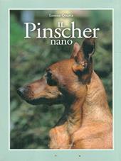 Il pinscher nano