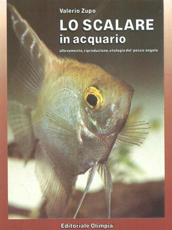 Lo scalare in acquario - Valerio Zupo - Libro Editoriale Olimpia 1991, Acquariofilia | Libraccio.it